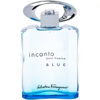 Salvatore Ferragamo Incanto Blue 100ml Uomo — Eau de Toilette