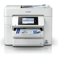 Epson WorkForce Pro WF-C4810DTWF Stampante inkjet