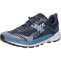 Lowa Amplux 2 GTX Scarpe per trail running Uomo (41,5, grigio)