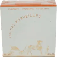 Hermès Paris Hermès Eau des Merveilles 100 ml — Eau de Toilette