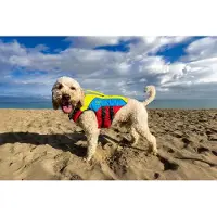 Spinlock Giubbotto Di Galleggiamento Per Cani Fido