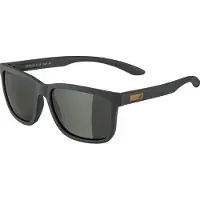 Alpina Burst S3 Occhiali da sole grigio