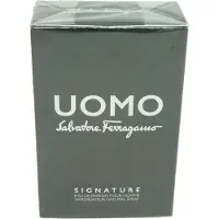 Salvatore Ferragamo Uomo Signature 100ml — Eau de Parfum