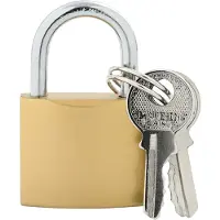 Syfax U Lock con Chiavi 6 pz Ottone Ferro
