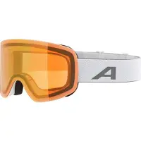 Alpina Penken Q Mirror S2 (VLT 28%) Maschera da sci variopinto