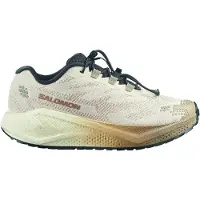 Salomon Women's Aero Blaze 4 GRVL Scarpe da corsa Donna (36 2/3, tapioca /nero)