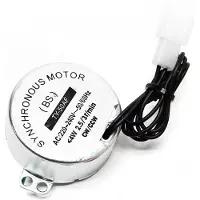 Wiltec Ricambio per incubatrice automatica WQ serie 48 uova - Motore di rotazione - Motore di rotazione delle uova di ricambio per incubatrice con sistema di rotazione