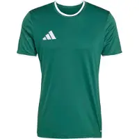 Adidas Maglia funzionale 'ENT26' verde / bianco