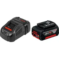 Bosch Set di alimentazione (1 x 18V 5,0 Ah + GAL1880CV)