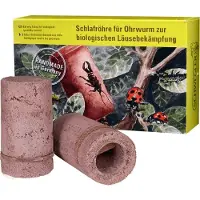 Schwegler Tubo di sonno per orecchie 3 pz.