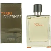 Hermès Paris Hermès Terre d'Hermès Uomo 100 ml — Eau de Toilette