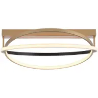 Q-SMART-HOME Paul Neuhaus Q-Beluga plafoniera LED, ottone