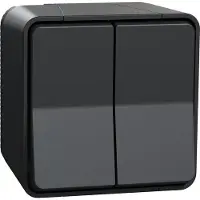 Schneider Electric Mureva Styl - Doppio interruttore on/off - montaggio a superficie - IP55 - IK08 - connessione automatica - grigio - - MUR35022