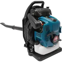 StarTech.com Soffiatore a zaino - Benzina 4 tempi - Motore 75,6 cm³ - Raffreddato ad aria - 112 dB - Per la pulizia del giardino e delle strade