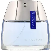 Iceberg Effusion 75ml Uomo — Eau de Toilette