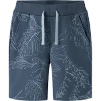 Name It Kids Shorts