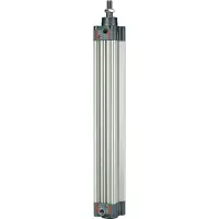 RIEGLER Cilindro standard , a doppio effetto, solenoide, pistone Ø 40, corsa 320, G 1/4