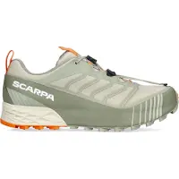 Scarpa Ribelle Run 2 GTX Scarpe per trail running Uomo (46,5, grigio)