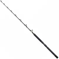 Shimano Fishing Canna Da Traina Tld B Stand Up