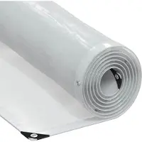 Syfax Telone trasparente con occhielli 3x3 m in polietilene