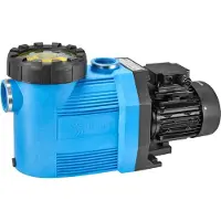 Speck Pompa per piscina BADU Prime 15 230 Volt