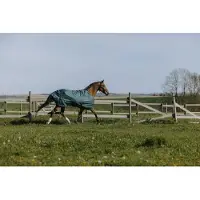 Equithème Tappeto Equitheme Standard 600d 0g Verde 5'9'' Verde 5'9''