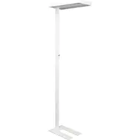 MAUL Piantana LED MAULjaval, bianca, 196 cm, dimmerabile, base
