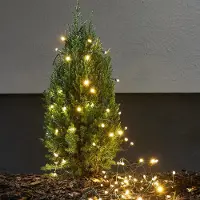 MARELIDA Fata LED - 100 LED bianco caldo - L: 9,9 m - timer - cavo verde - per esterni