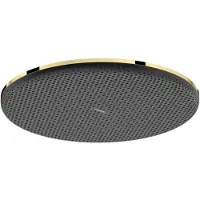 Hansgrohe Raindance Alive S Douche de tête 300 1jet EcoSmart, 24523990, 24523990