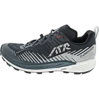 Lowa Amplux 2 Scarpe per trail running Uomo (42,5, grigio)