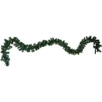 Best Season Ghirlanda LED a batterie Canadian, 250 cm