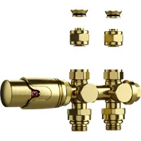 Belrad Valvole termostatiche per radiatori, adatte per montaggio a parete o a pavimento, in finitura oro spazzolato – 1/2M x 16/2 M30