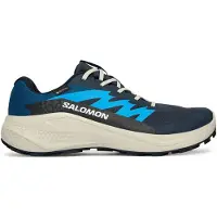 Salomon Alphaglide GORE-TEX Scarpe per trail running Uomo (44 2/3, blu)