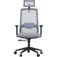 Stema Sedia girevole ergonomica da ufficio WISTER, base in nylon, braccioli regolabili, poggiatesta e supporto lombare, estensione del sedile, grigio