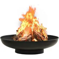 vidaXL Ciotola da fuoco 80 cm in acciaio