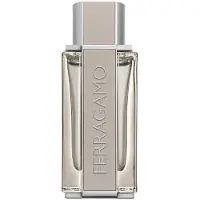 Salvatore Ferragamo Ferragamo Bright Leather EDT 100ml