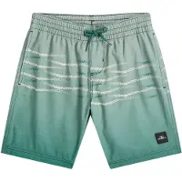 O'Neill Pantaloncini da bagno abete / verde chiaro / bianco