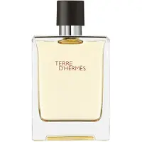 Hermès Paris Terre D'EDT 100ml — Eau de Toilette