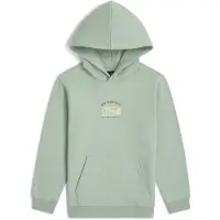 O'Neill Kid's Graphic Hoodie Felpa con cappuccio Bambini (164, grigio)