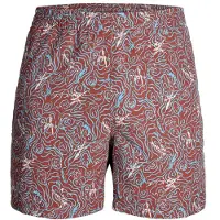 Royal Robbins All In Short Pantaloncini Uomo (M, marrone)