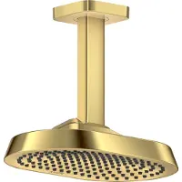 Hansgrohe AXOR ShowerSphere Douche de tête 250/160 1jet avec raccordement au plafond, 39763990, 39763990