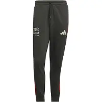 Adidas Pantaloni sportivi 'Audi Formula One Team DNA' grigio scuro / rosso / bianco