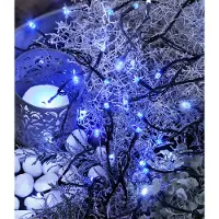 Best Season Luci a LED, 40 pz. Colore blu, per esterni, con trasformatore, cavo: nero, 498-19