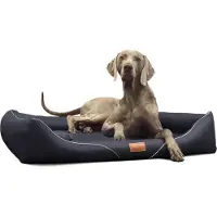 Tierlando Letto ortopedico per cani WILLIAM Easy-Clean | Divano per cani - Dimensioni: 130x100cm | Colore: 03 Nero