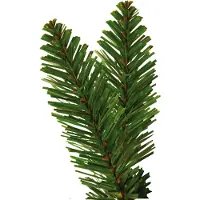 Star Trading Albero di Natale , Calgary, circa 250 cm di altezza, colore verde, modello 608-32