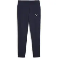 Puma Pantaloni sportivi 'TeamGOAL' marino / bianco