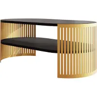 Mirjan 24 Tavolino da salotto Fikoli Oval I Oro, tavolino da salotto, struttura in acciaio (colore: oro / nero molet)