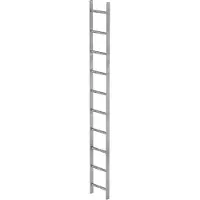 MUNK Günzburger Steigtechnik Scala a pioli in acciaio, zincata a caldo, 10 pioli 60010