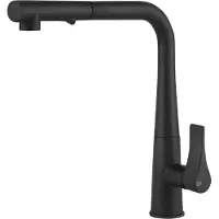 Gessi Miscelatore monocomando Proton 17177 299 29,5 cm Nero opaco