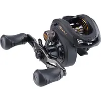 Penn Mulinello Baitcasting Con Mano Destra Squall